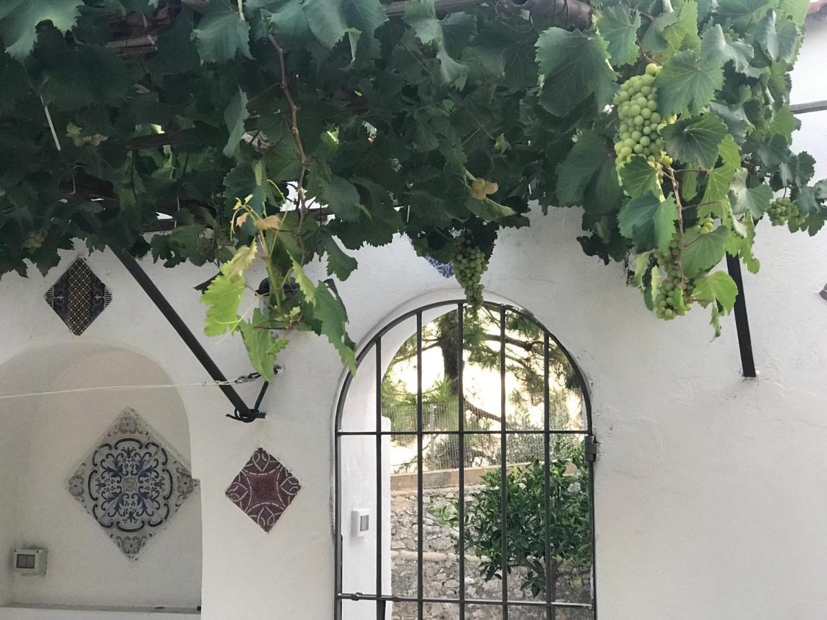 Il Paradiso Di Giacomo Erice Exterior foto